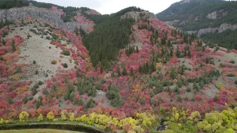 Fall Colors in the Mountains Stock Footage 163190983