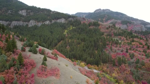 Fall Colors in the Mountains Stock Footage 163191105