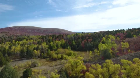 Fall Colors in the Mountains Stock Footage 163191546