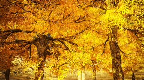 Fall colors in mountains Illustrazione stock