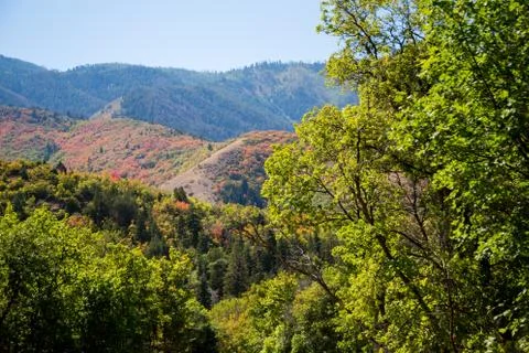 Fall Colors in the Mountains Stock Photos