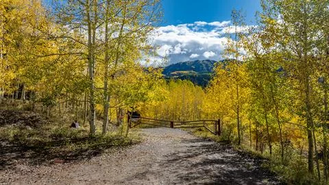 Fall colors in the Mountians Stock-Fotos