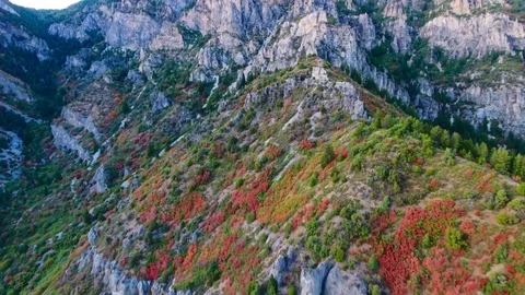 Fall Colors Ogden Canyon 4k Stock Footage 81003761