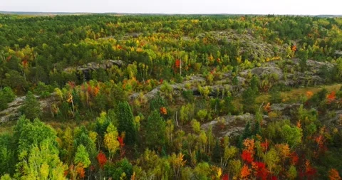 Fall colors ottawa landscape Stock Footage 256916371