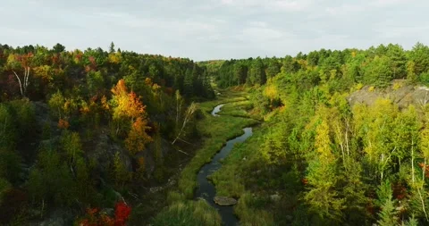 Fall colors ottawa river 3 Stock Footage 256916394