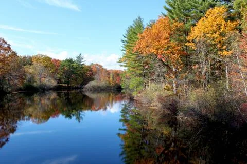 Fall Colors 写真素材