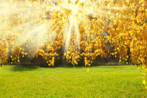 Fall colors Fotos de archivo