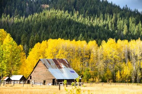 Fall Colors Stock Photos