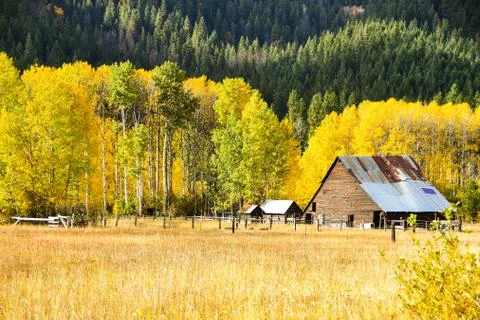 Fall Colors Stock Photos