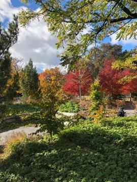 Fall colors Fotos Stock