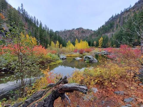 Fall Colors Foto stock