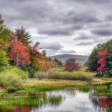 Fall Colors Stock Photos