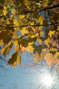 Fall Colors Photos