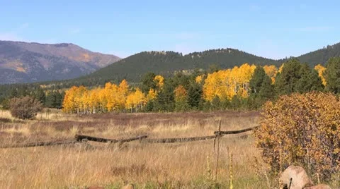 Fall Colors Prairie Stock Footage 12263082