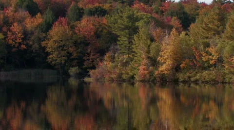 Fall Colors Reflected in a Lake Video stock 270583