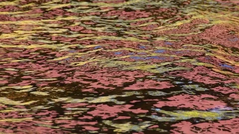Fall colors reflected in mountain stream, New Hampshire Video stock 81141281