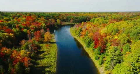 Fall colors rising up from river tilt down Stock Footage 256916484
