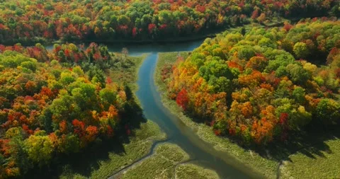 Fall colors river bend Stock Footage 256916555