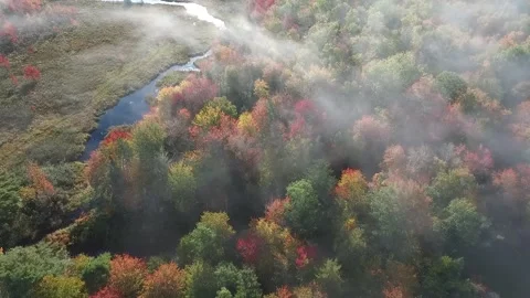 Fall Colors on a River During A Misty Sunrise Stock Footage 150448035