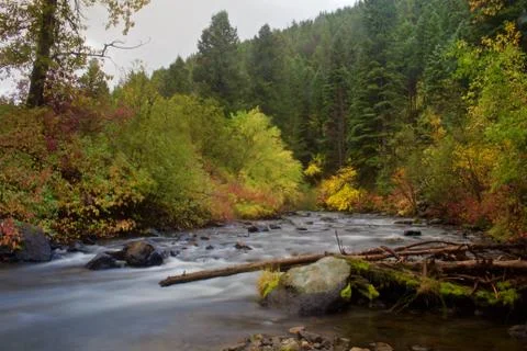 Fall Colors on the River Stock Photos