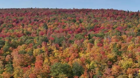 Fall Colors on Rolling Hills Drone Video stock 315265580