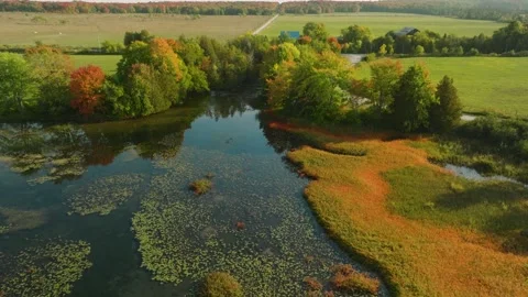 Fall colors shallow lake Stock Footage 256941252
