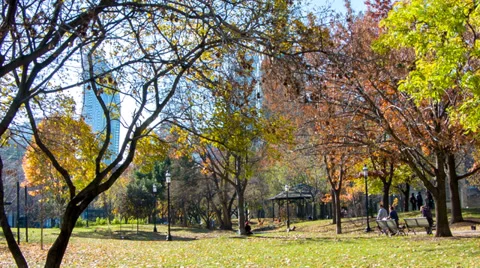 Fall colors in St. James Park - Toronto, Canada Stock Footage 36108949