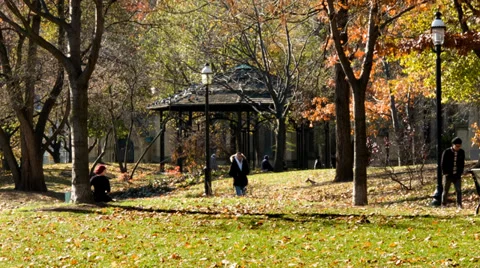 Fall colors in St. James Park (2) - Toronto, Canada Stock Footage 36143725
