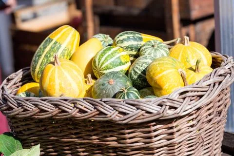 The fall colors on the table Stock Photos
