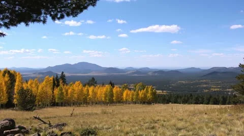 Fall Colors Time Lapse Stock Footage 12266817