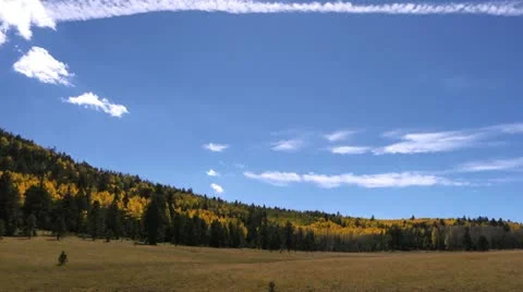 Fall Colors Timelapse Stock Footage 12263731