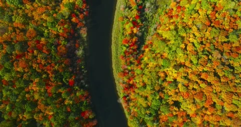 Fall colors top down river 库存影片 256916631