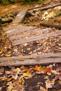 Fall colors on the trail Stock Photos