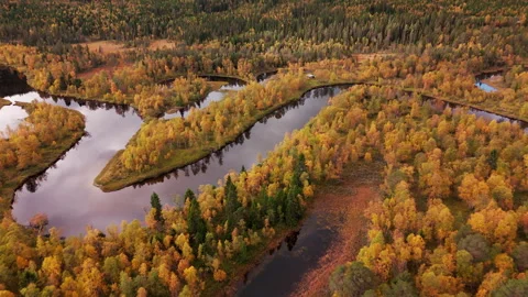 Fall colors transform river Ljusnan in sweden into a stunning landscape Stock Footage 319437413