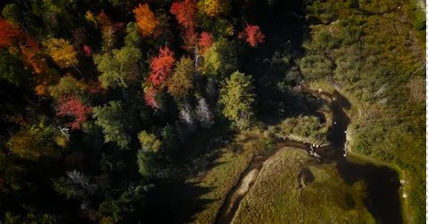 Fall colors trees stream 02 Foto stock