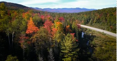 Fall colors trees stream 03 Foto stock