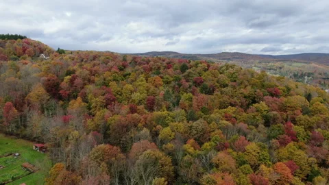 Fall Colors, Upstate NY 3 動画素材 289781584