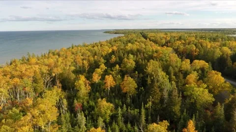 Fall colors Woods or Forest w Lake Aerial Flyover   2 Stockbeeldmateriaal 68771266