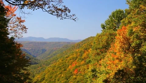 Fall colors in WV Stock Footage 8830820