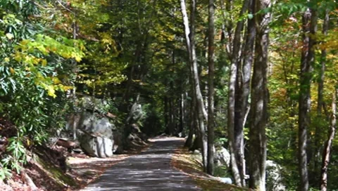 Fall colors in WV Stock Footage 8830949