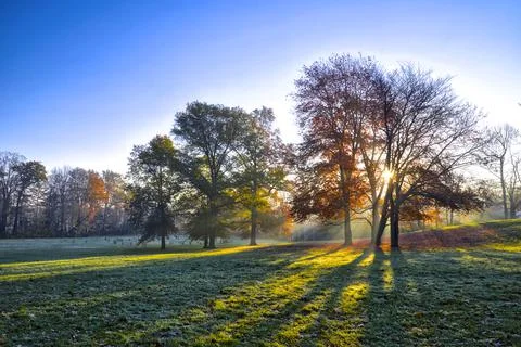 Fall colour with sun rays through the trees in a foggy morning Stock Photos