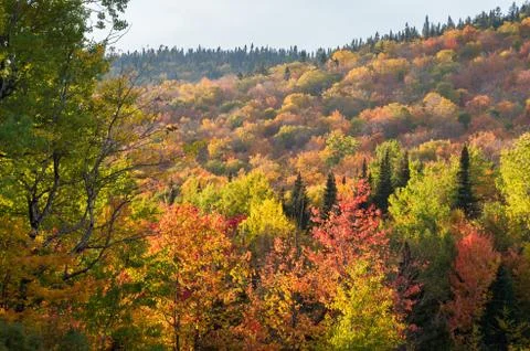 Fall colours in the Eastern Townships in Quebec, Canada. Stock Photos