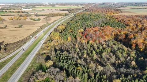 Fall Colours Fly Over Stock Footage 253948624