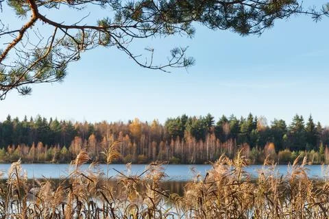 Fall colours of forest reflected in the waters of a lake Stock Photos