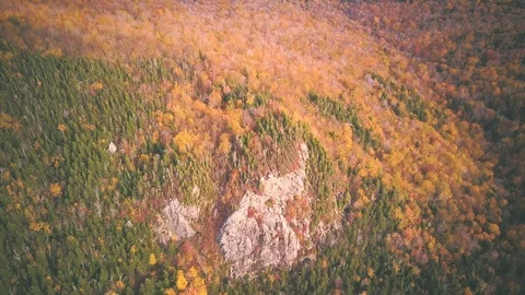 Fall colours in Franconia Notch State Park Video stock 108499830