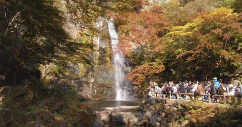 Fall colours in Minoo Forested Park and Waterfall, suburban Osaka, Japan. (A) Stock Footage 121186048