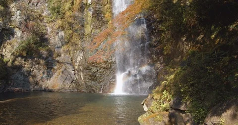 Fall colours in Minoo Forested Park and Waterfall, suburban Osaka, Japan. (D) Stock Footage 121186301