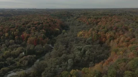 Fall Colours over Rouge river Stock Footage 145957690