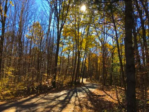 Fall colours Stock Photos