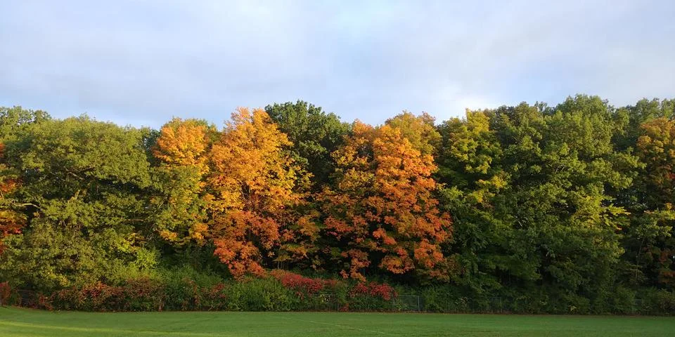 Fall Colours 库存照片